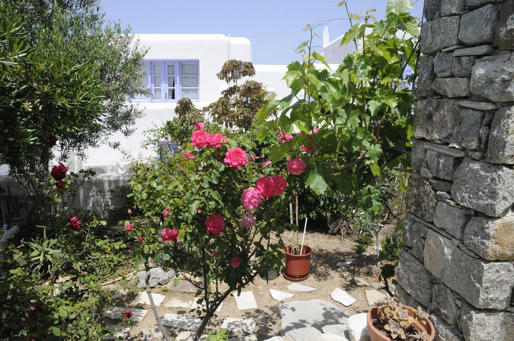 Andriani'S Guest House Mykonos Town ภายนอก รูปภาพ